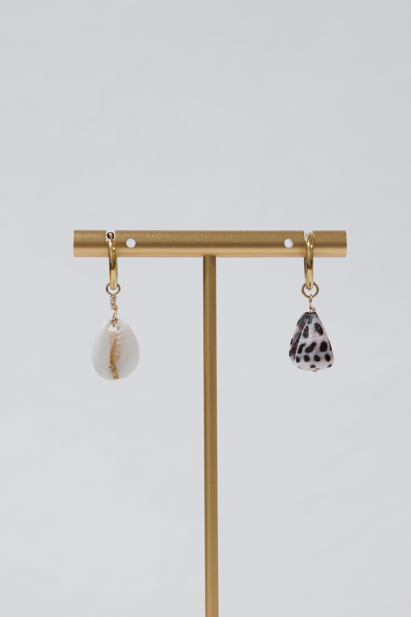 Shell earrings