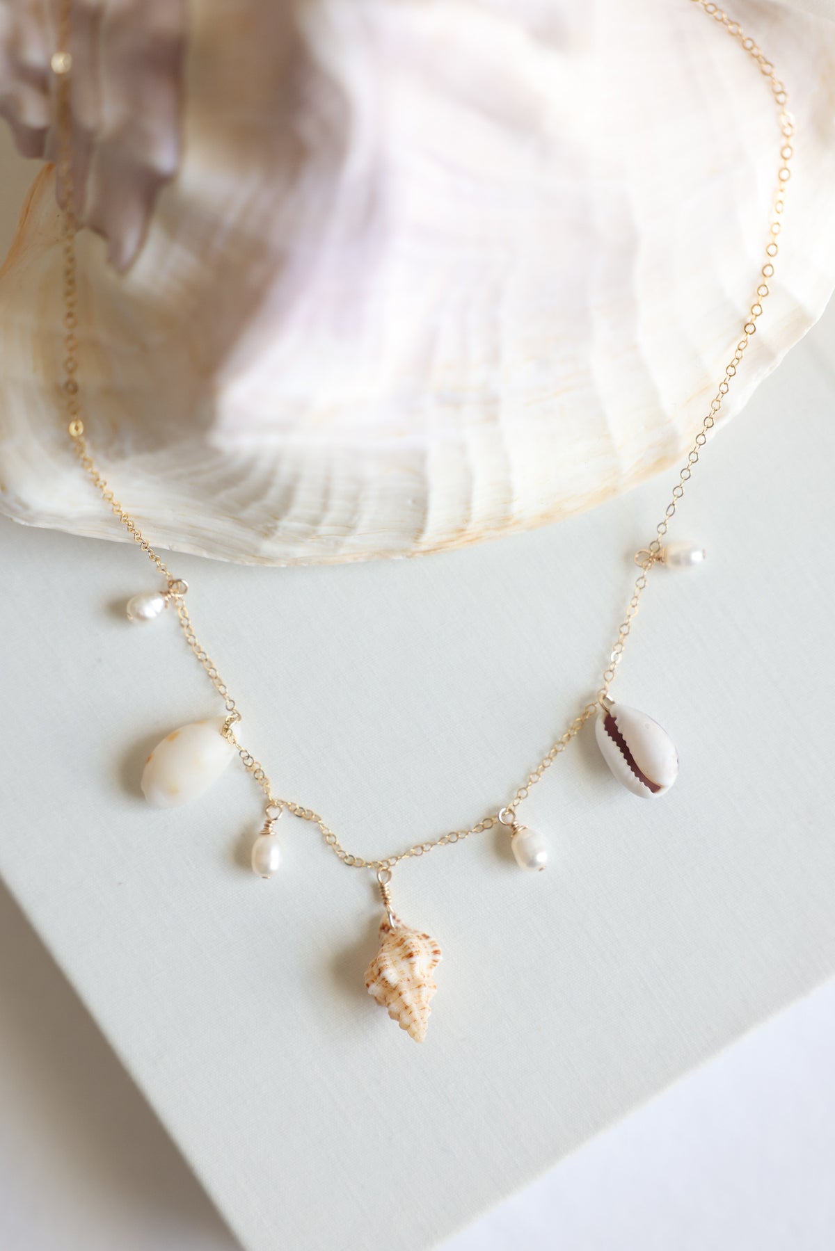 Shell charm necklace
