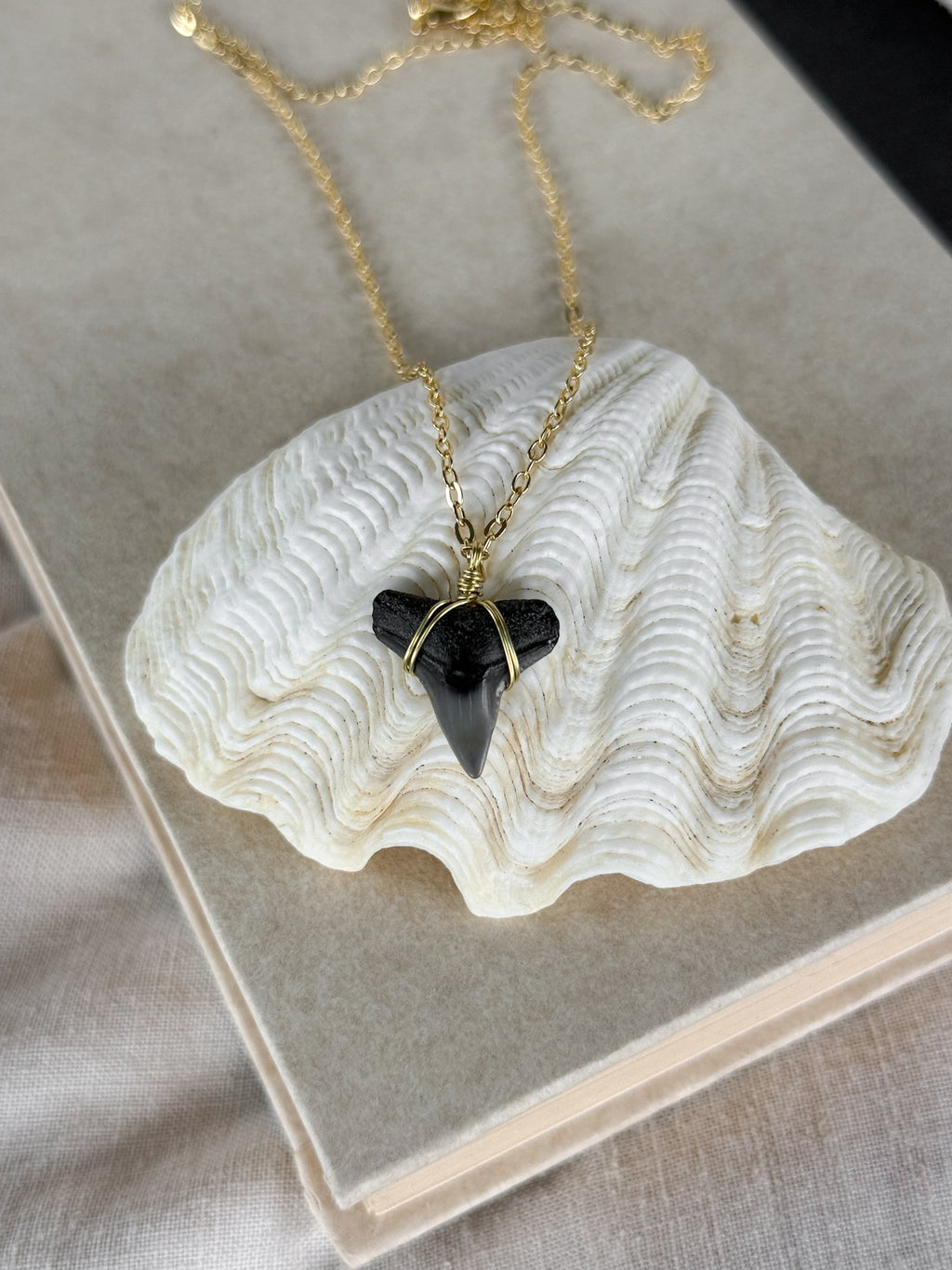 Shark Tooth necklace