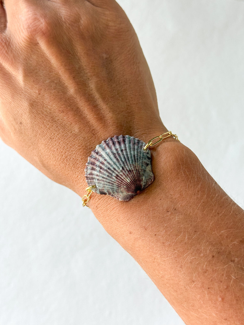 Scalloped shell bracelet