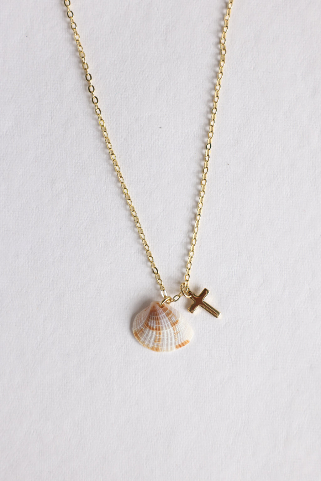 Clam shell charm necklace