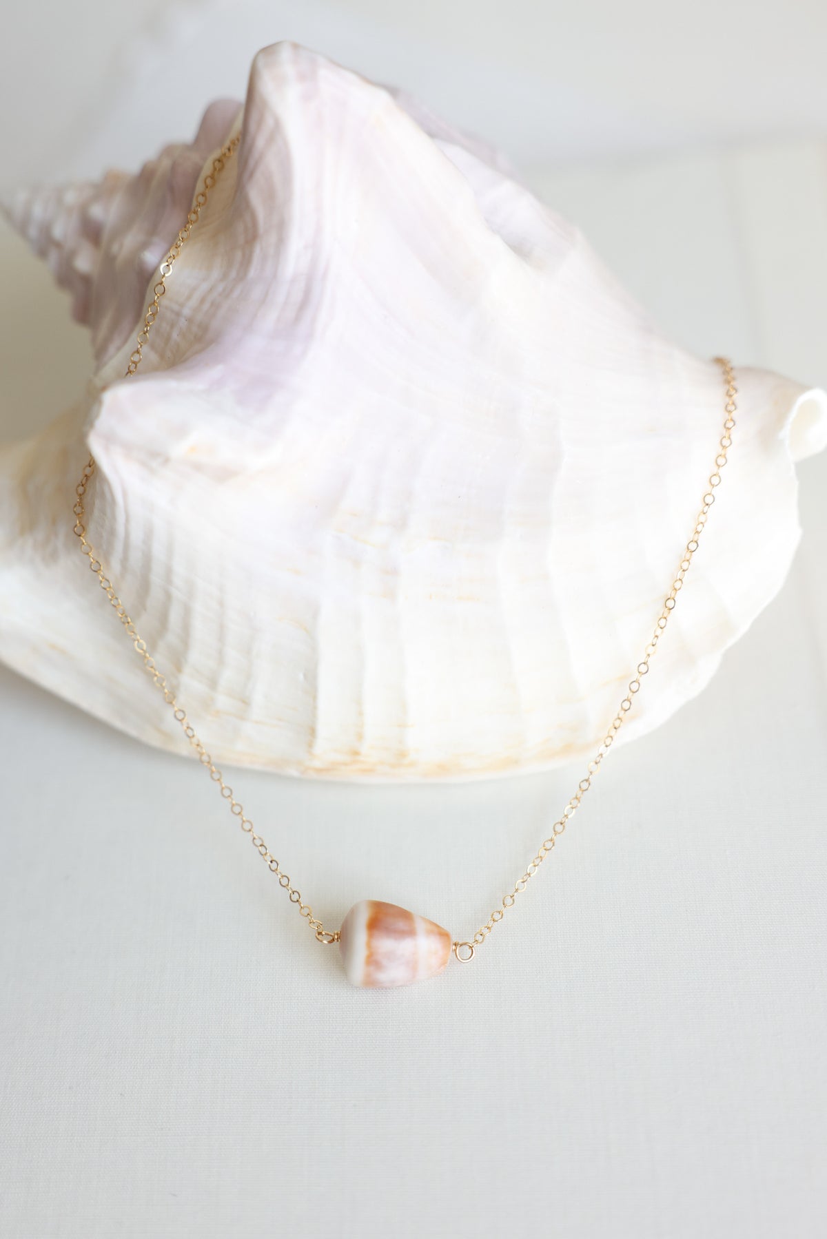 Cone shell necklace
