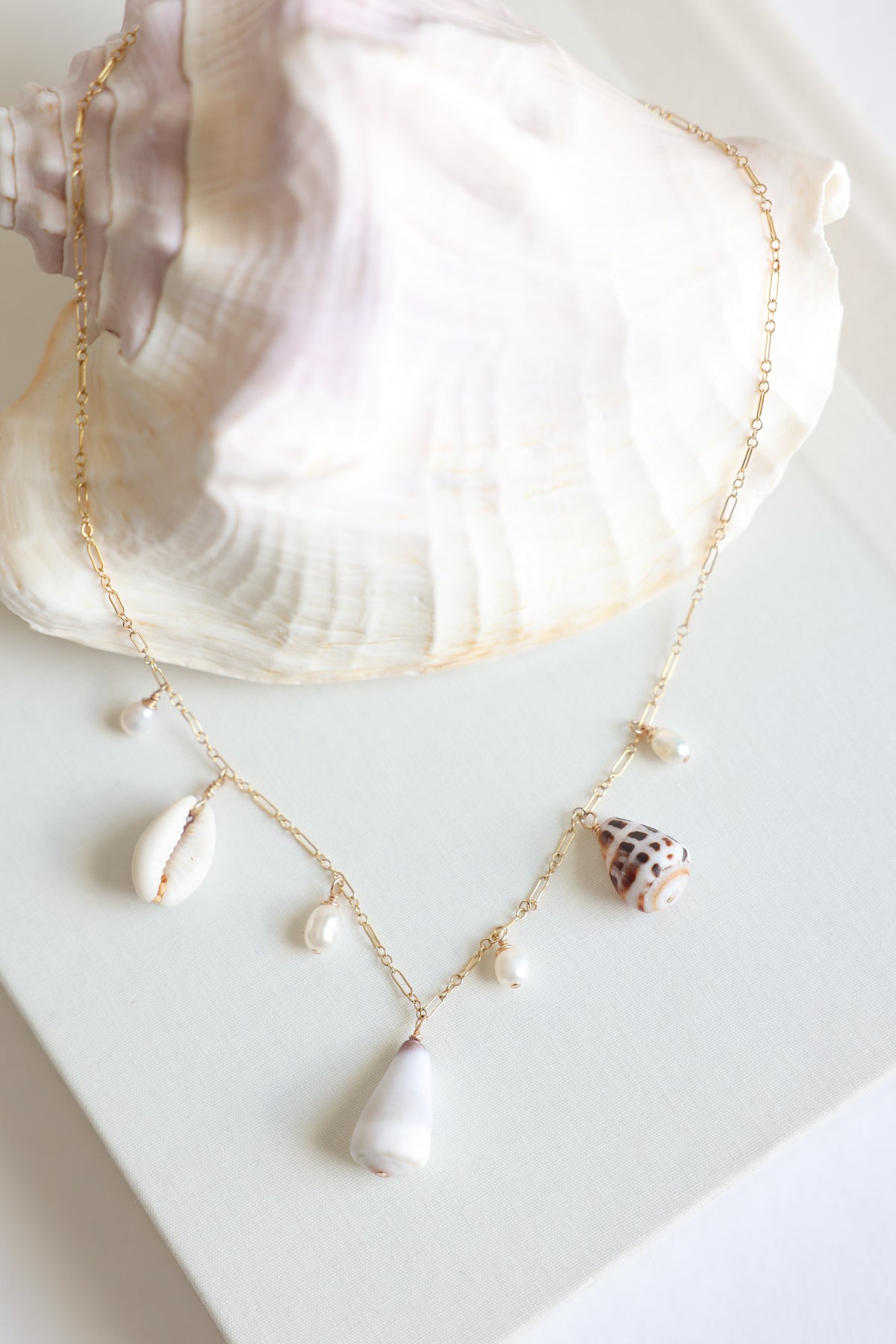 Shell charm necklace