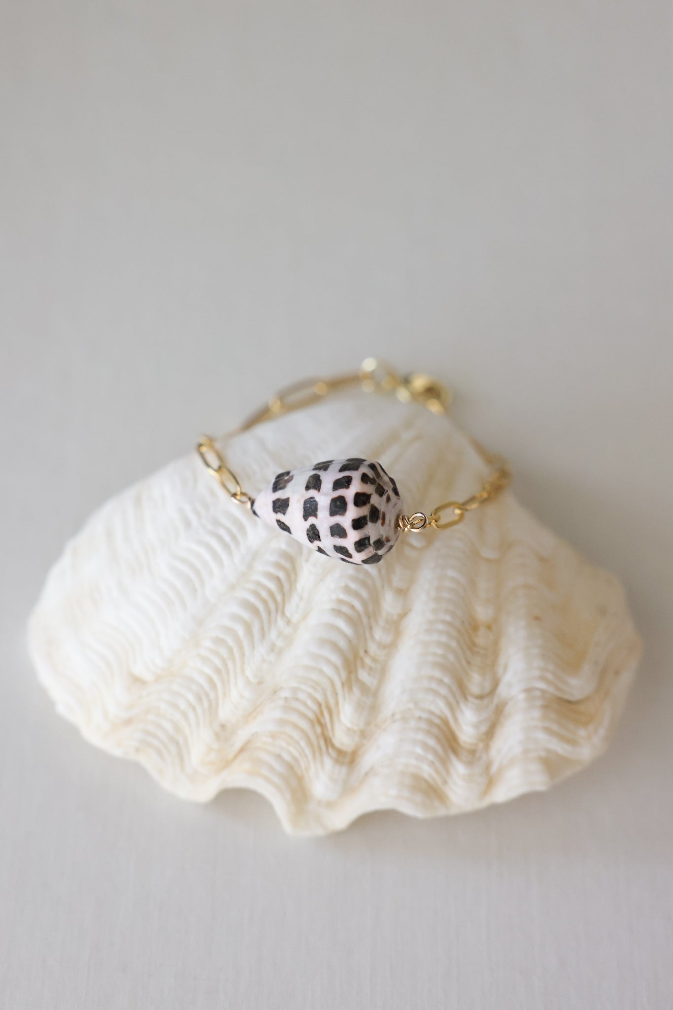 Hebrew cone shell bracelet