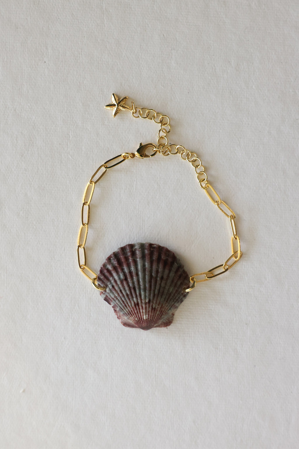 Scalloped shell bracelet