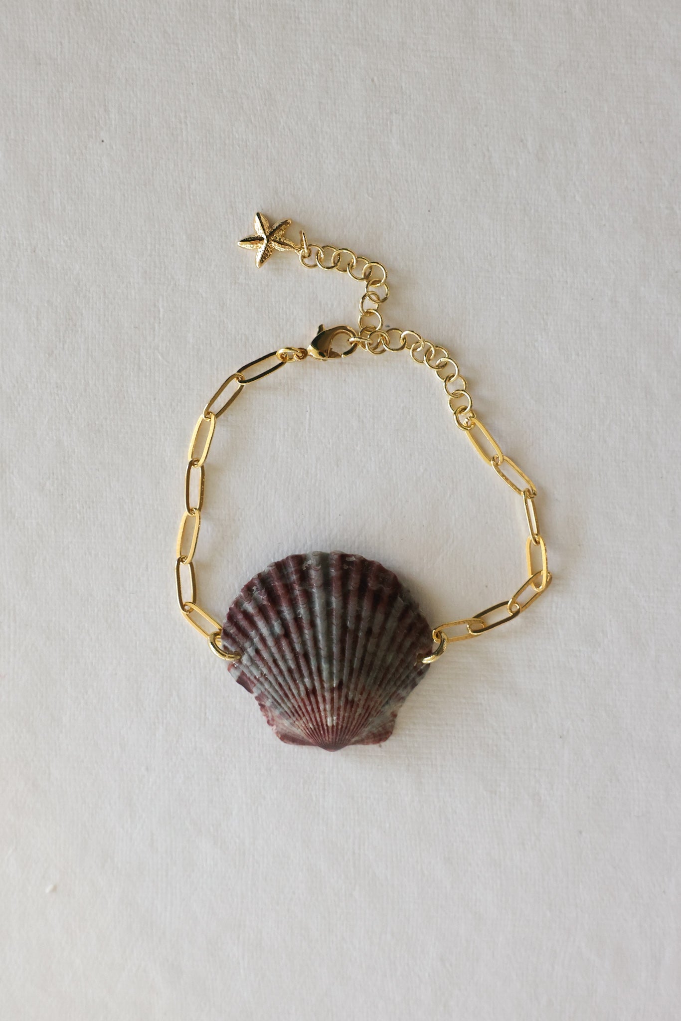 Scalloped shell bracelet