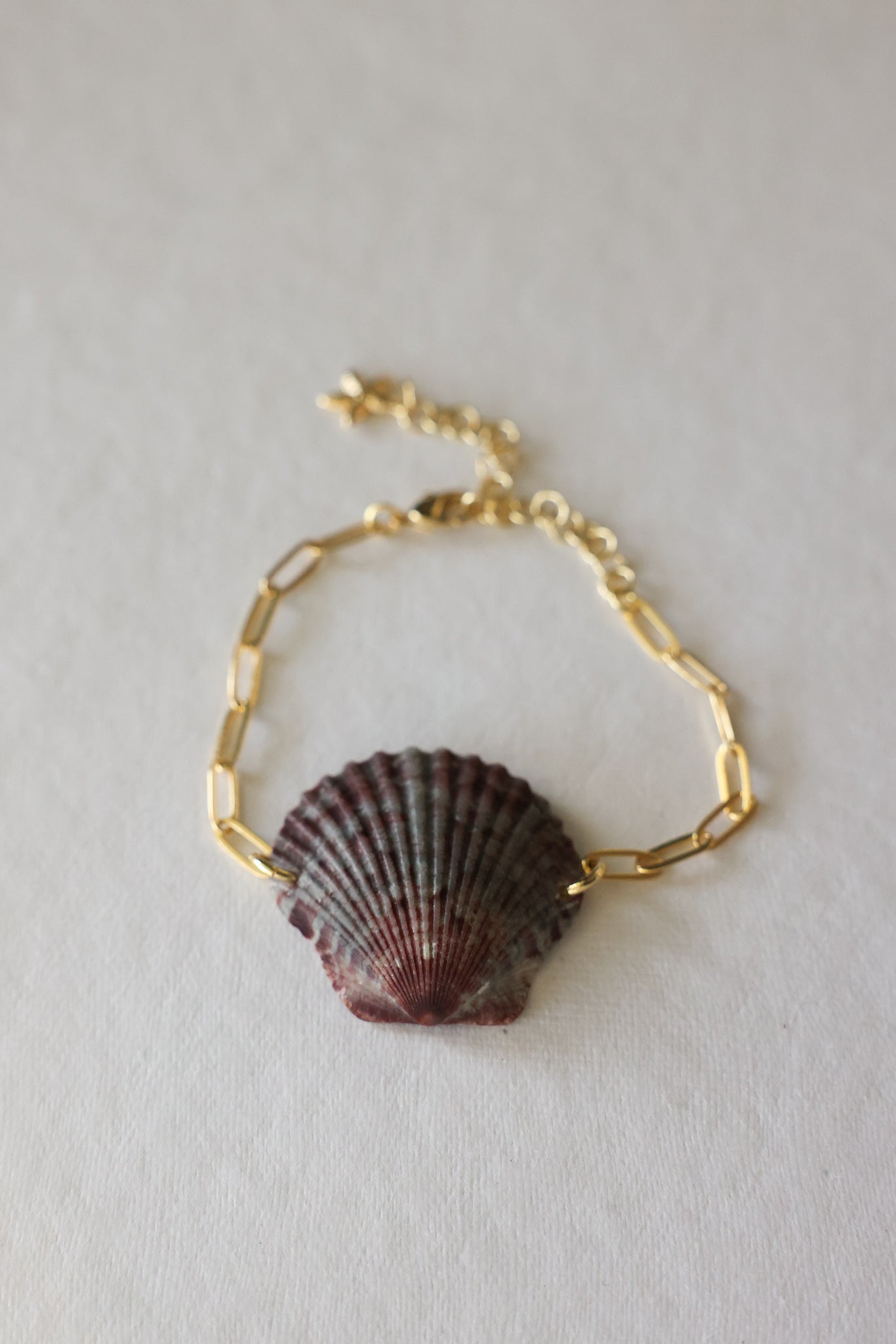 Scalloped shell bracelet