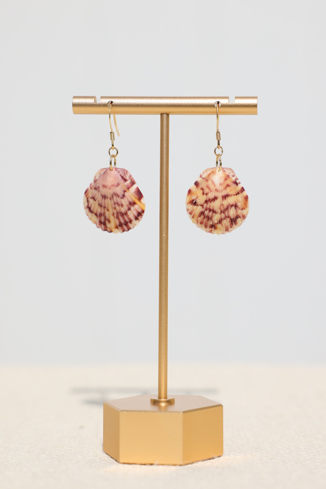 Calico Scallop shell earrings