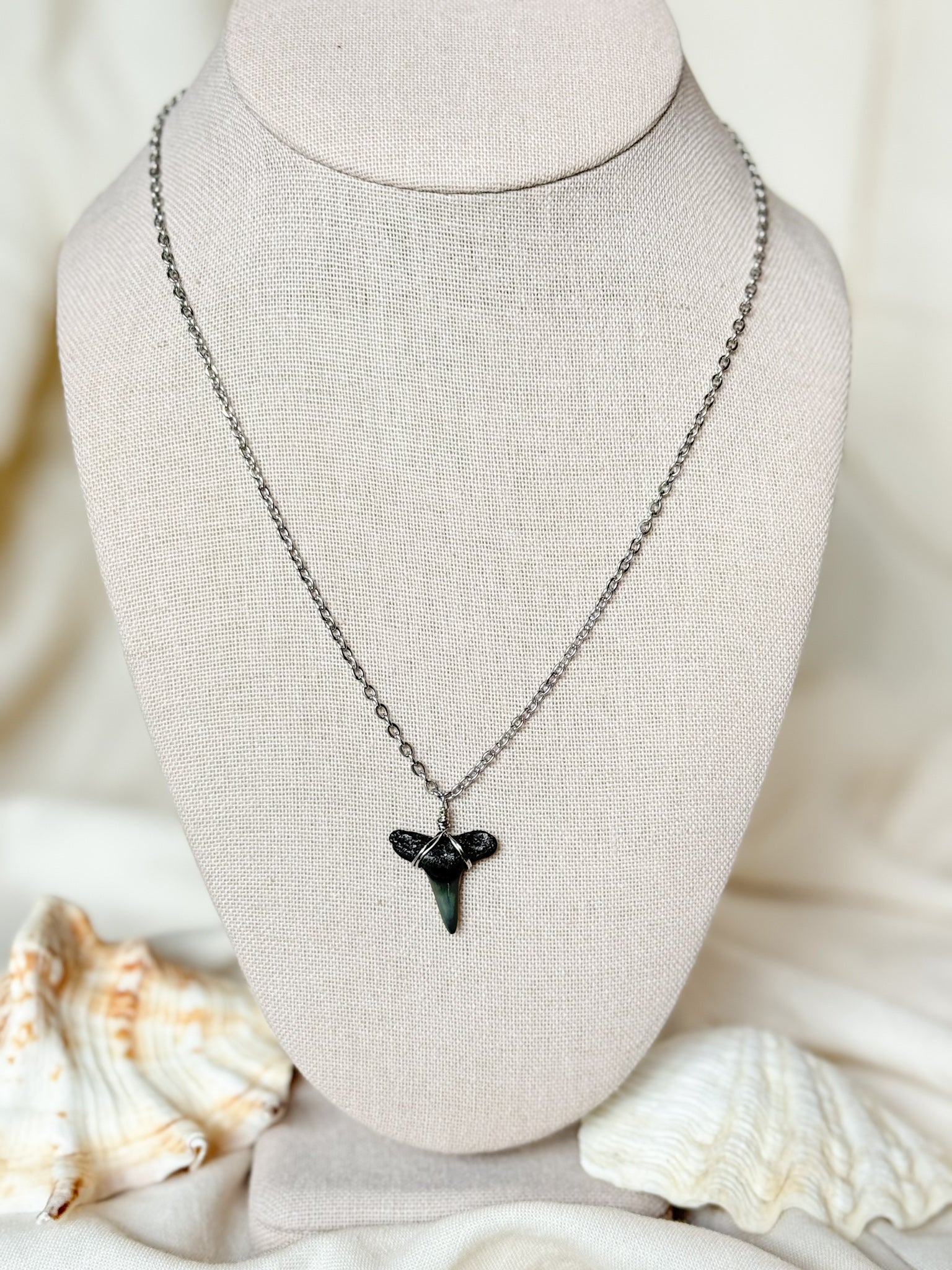 Shark tooth necklace