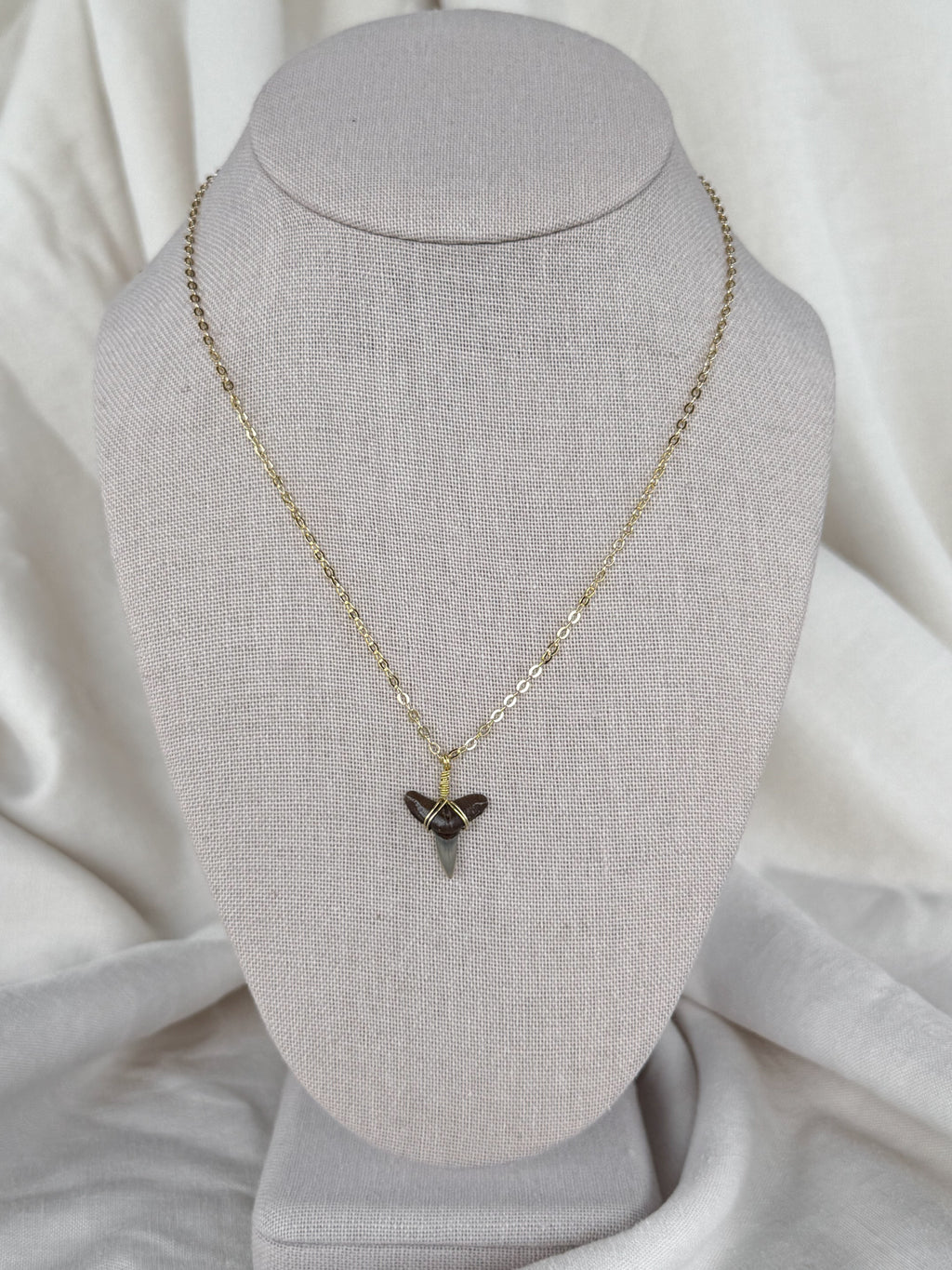 Shark tooth necklace