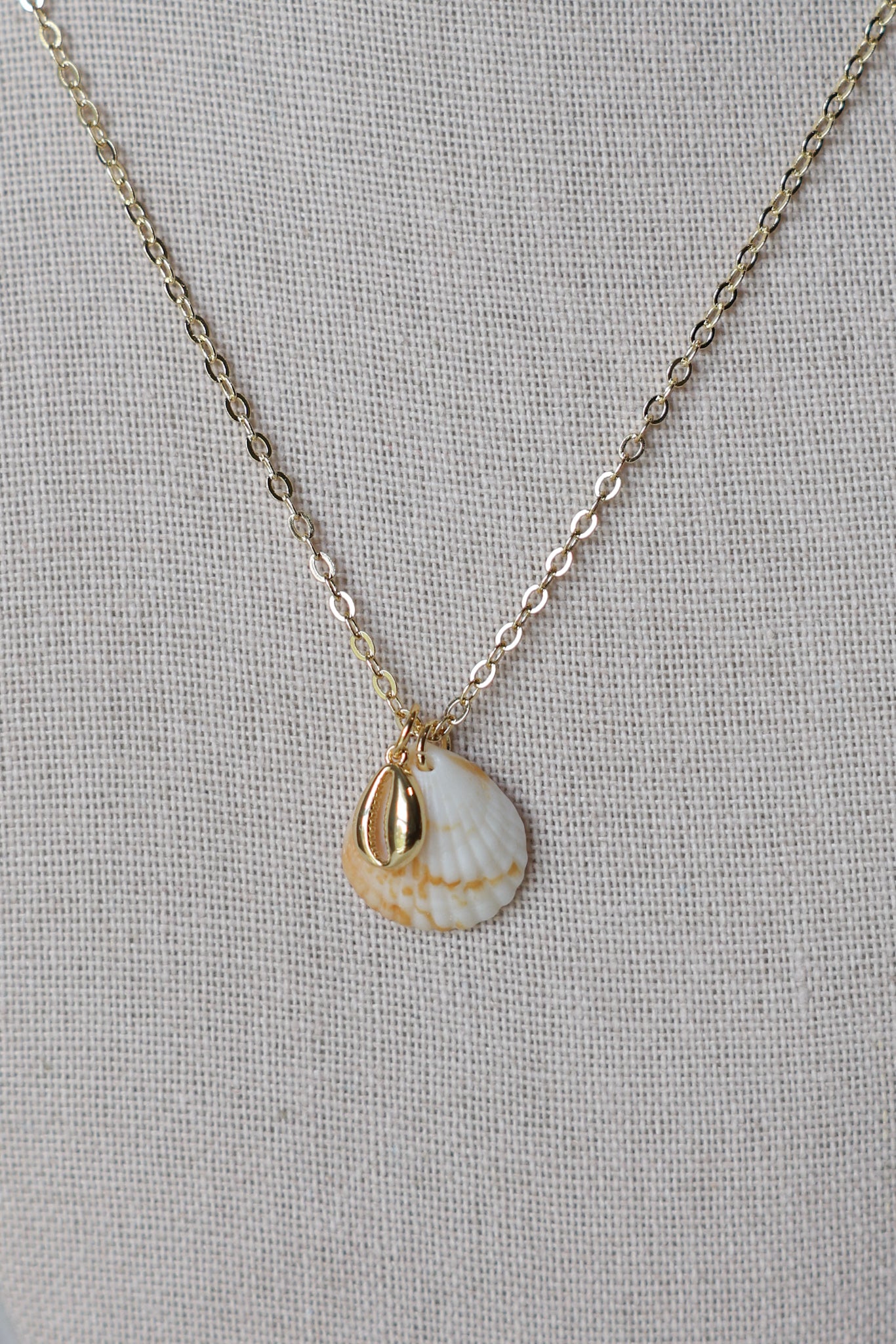 Seashell cowrie necklace