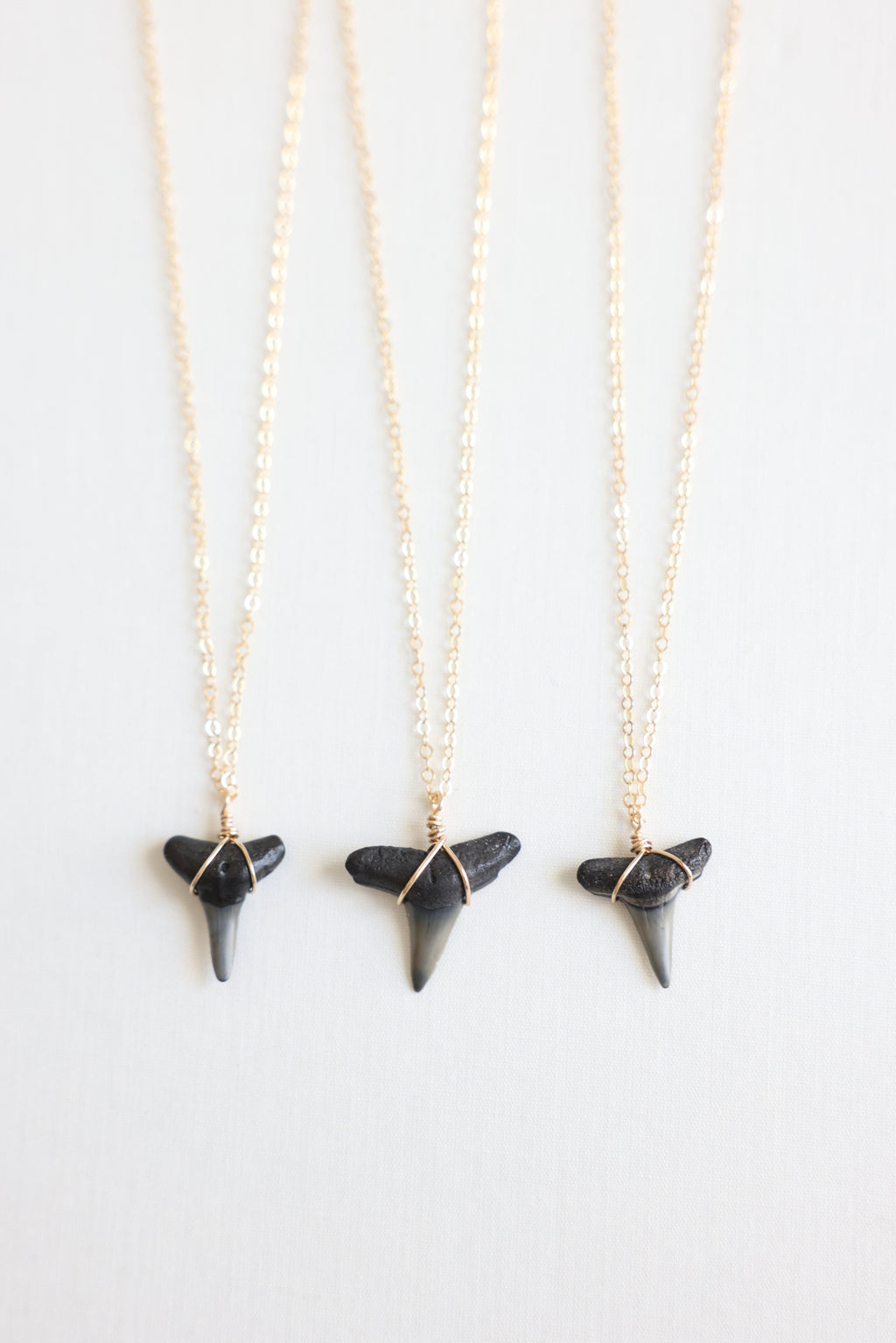 Gold filled Shark tooth necklace
