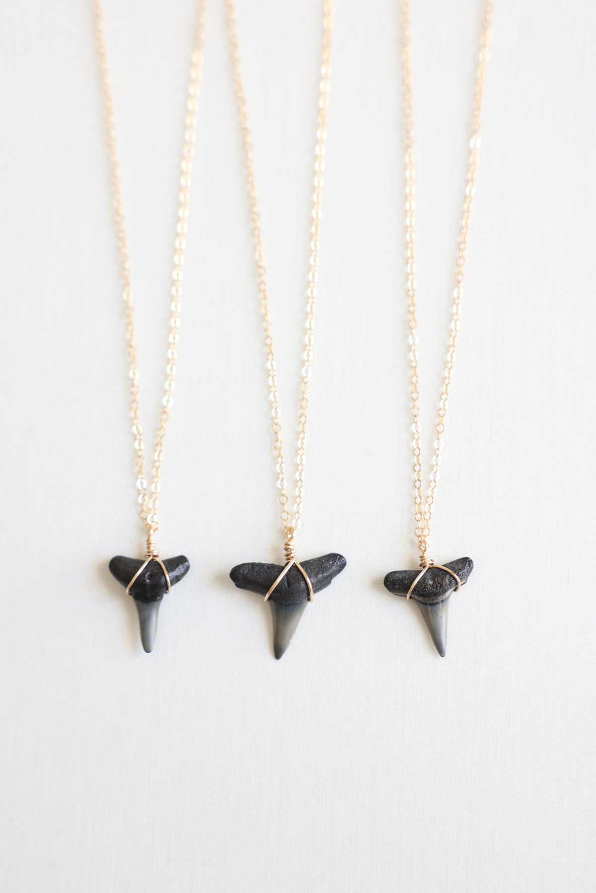 Gold filled Shark tooth necklace