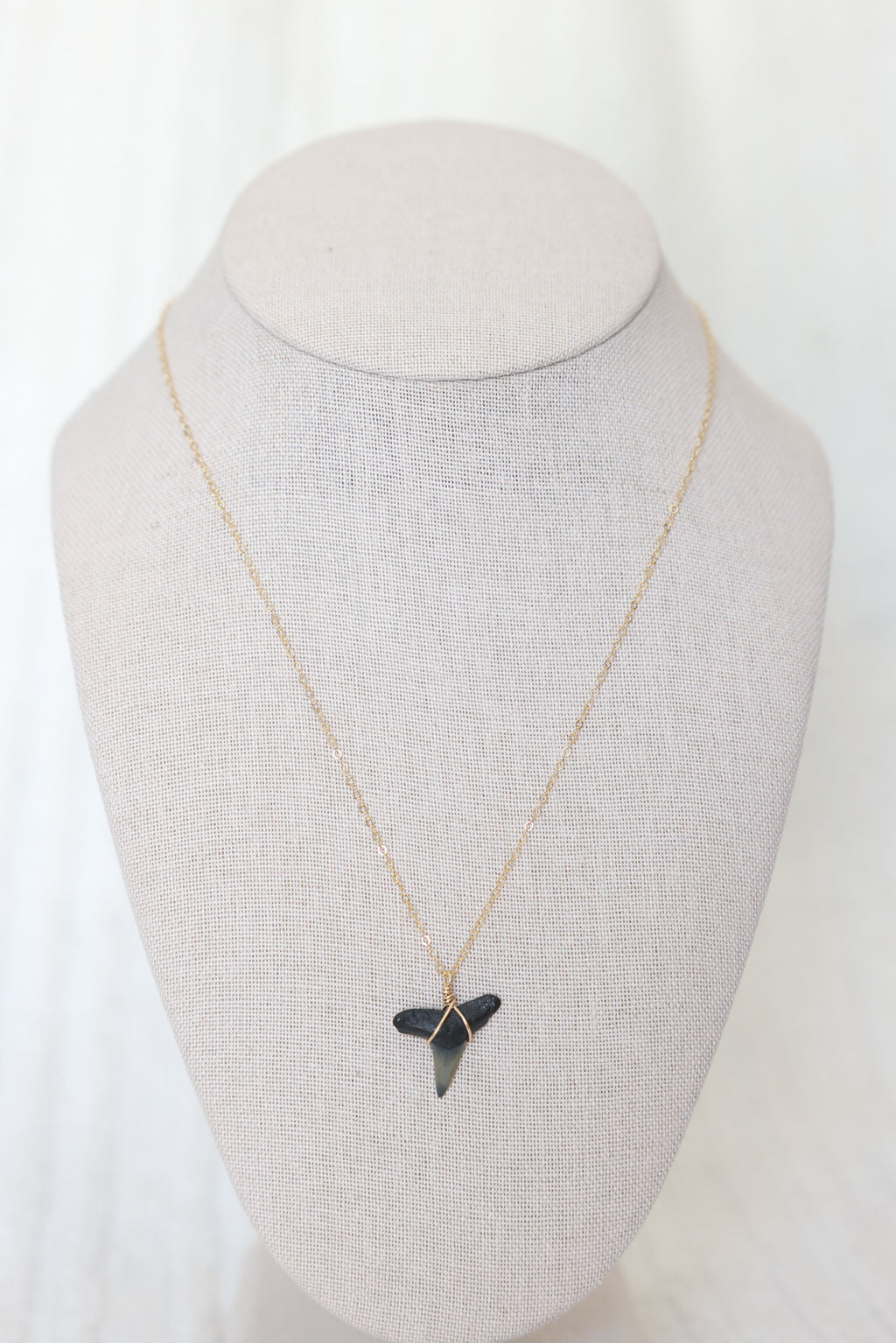 Gold filled Shark tooth necklace