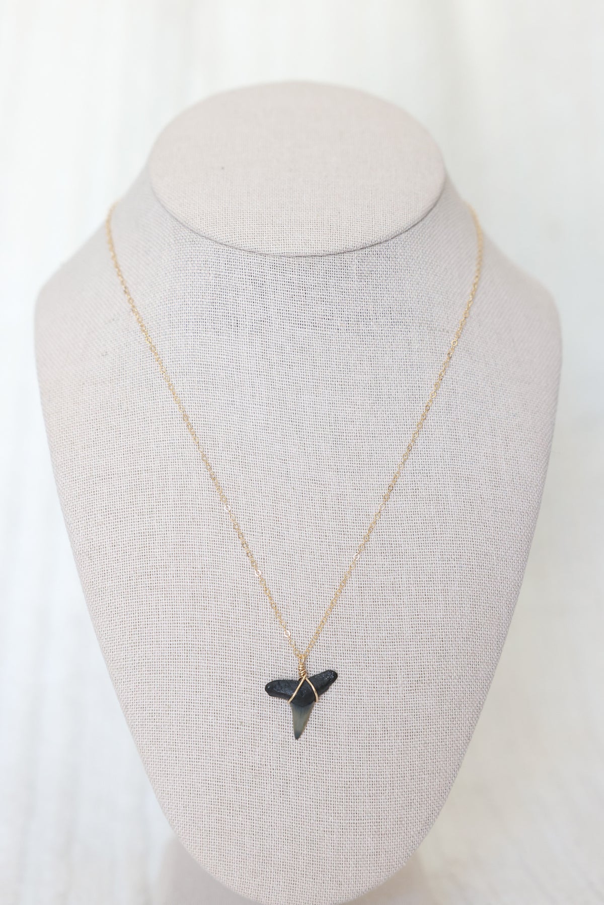 Gold filled Shark tooth necklace