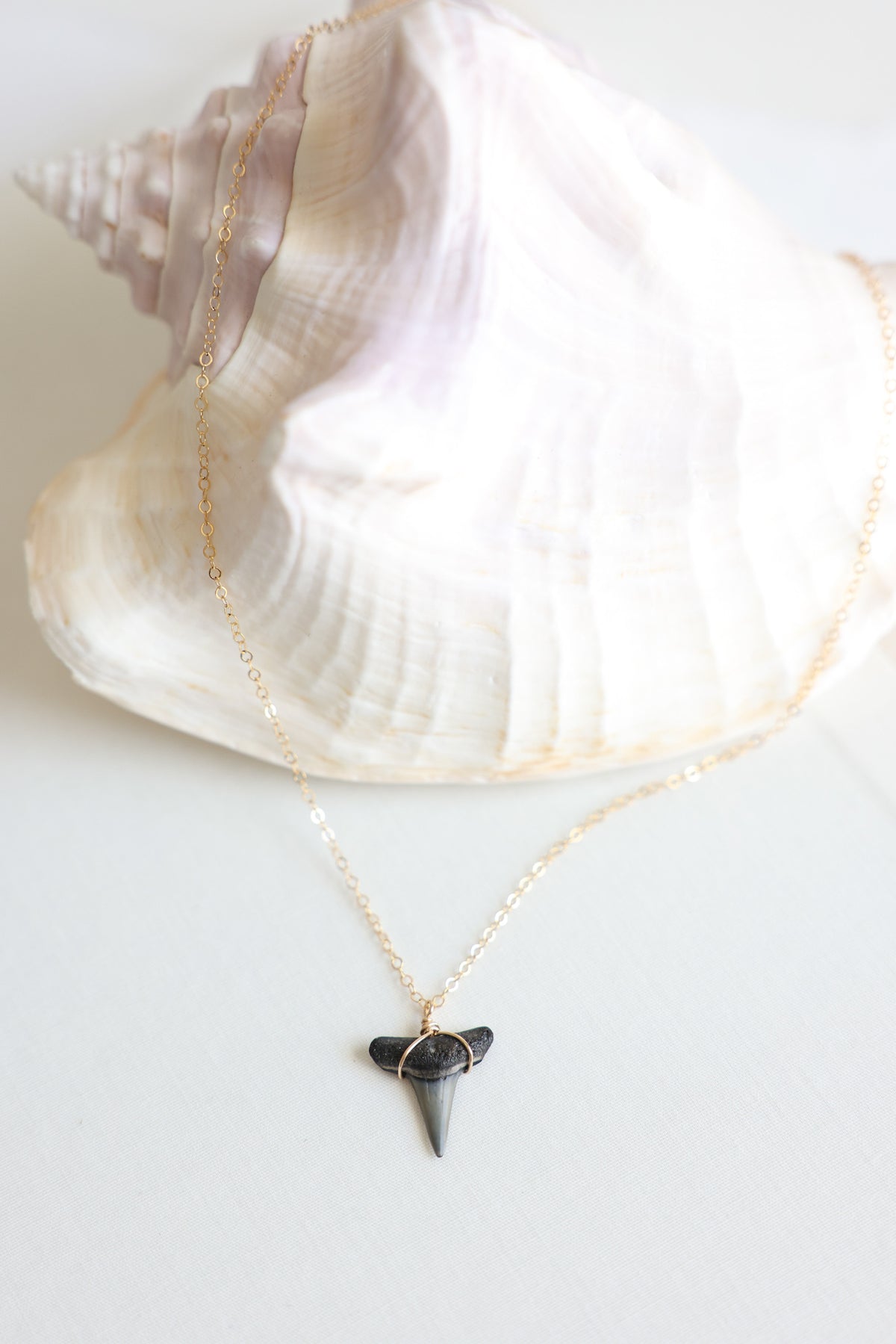 Gold filled Shark tooth necklace