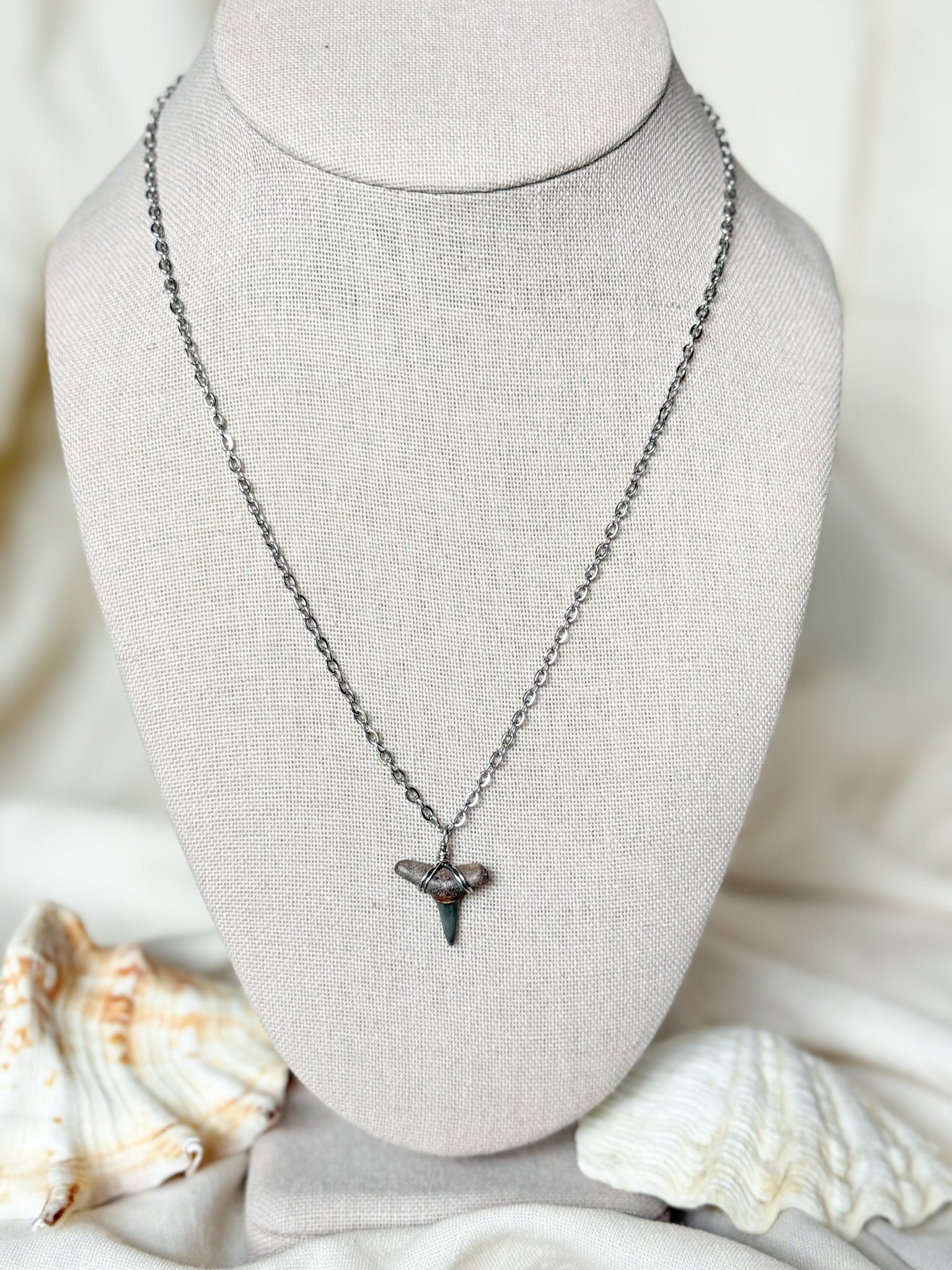 Shark tooth necklace