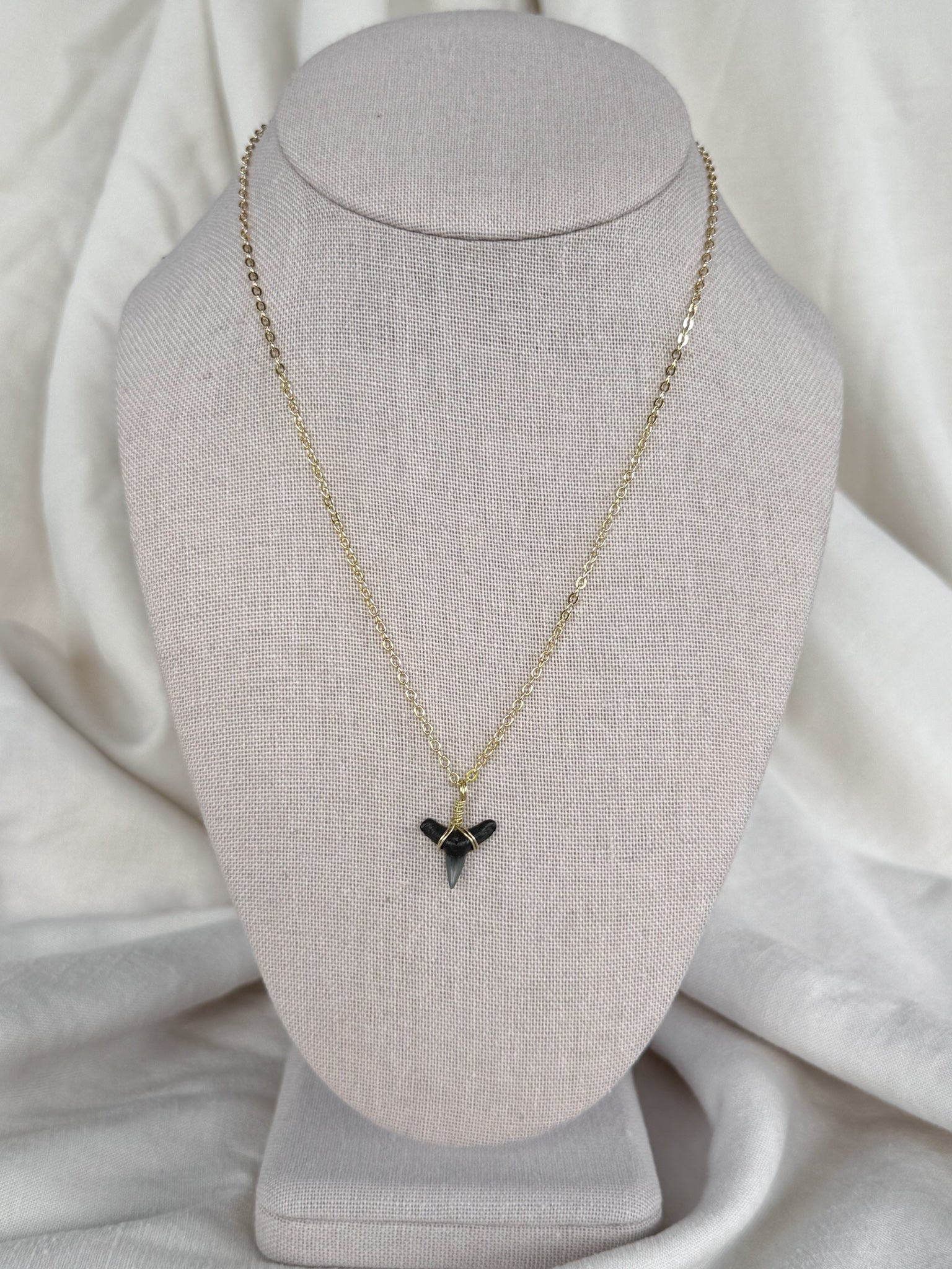 Shark tooth necklace