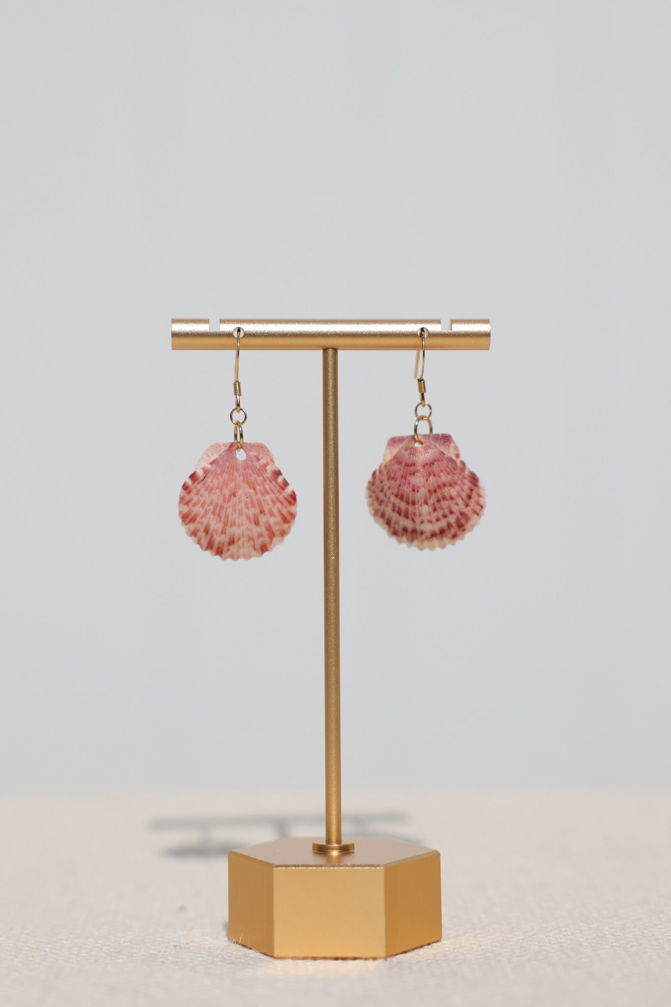 Calico scallop seashell earrings