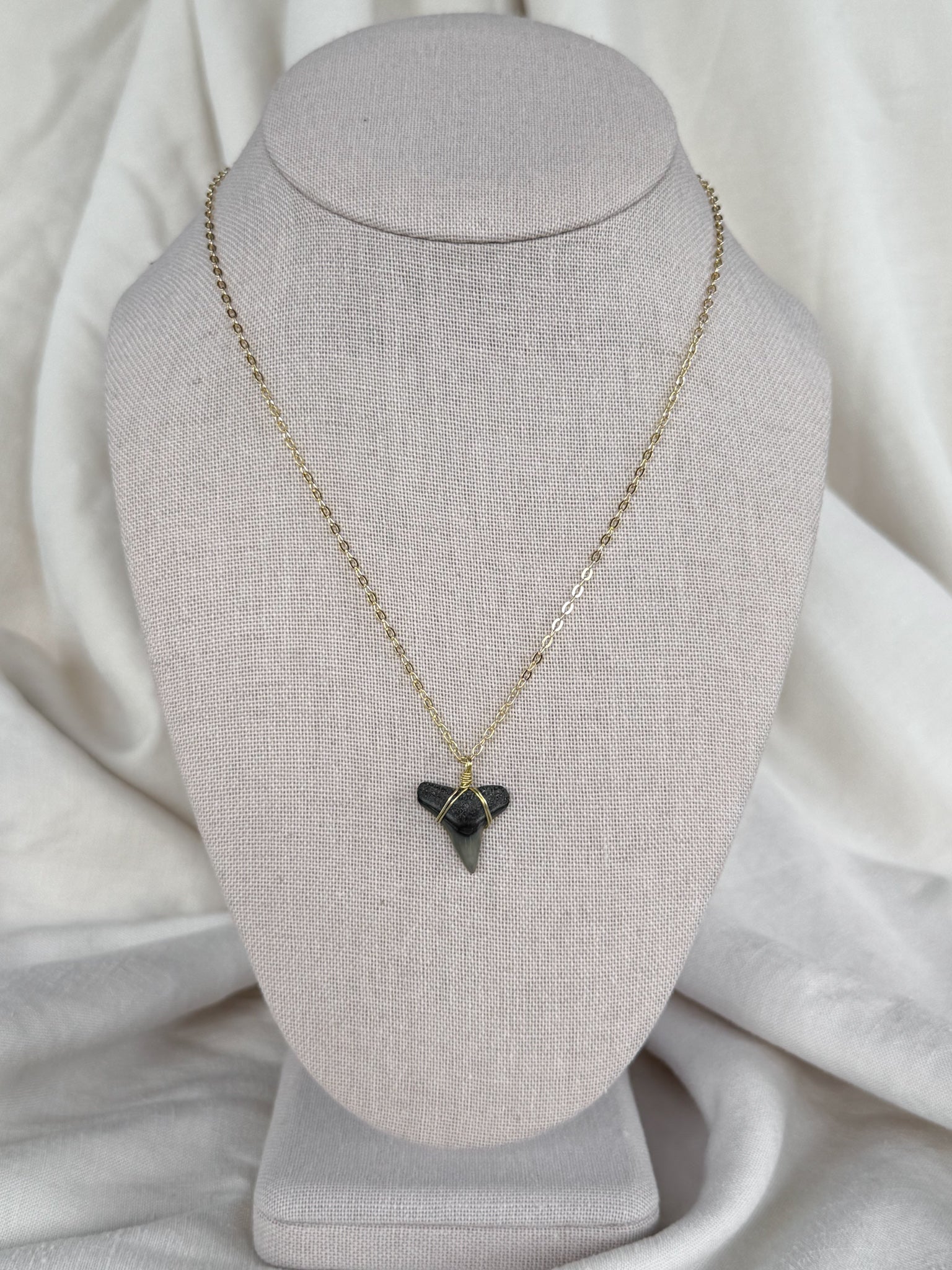 Shark Tooth necklace