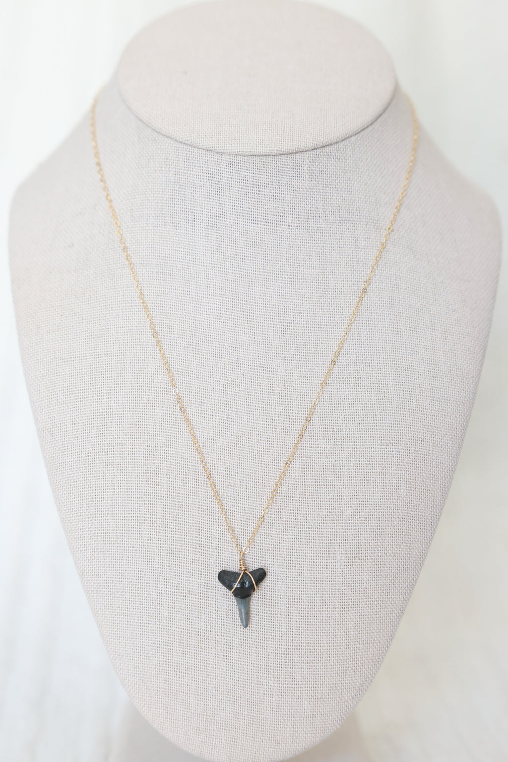 Gold filled Shark tooth necklace