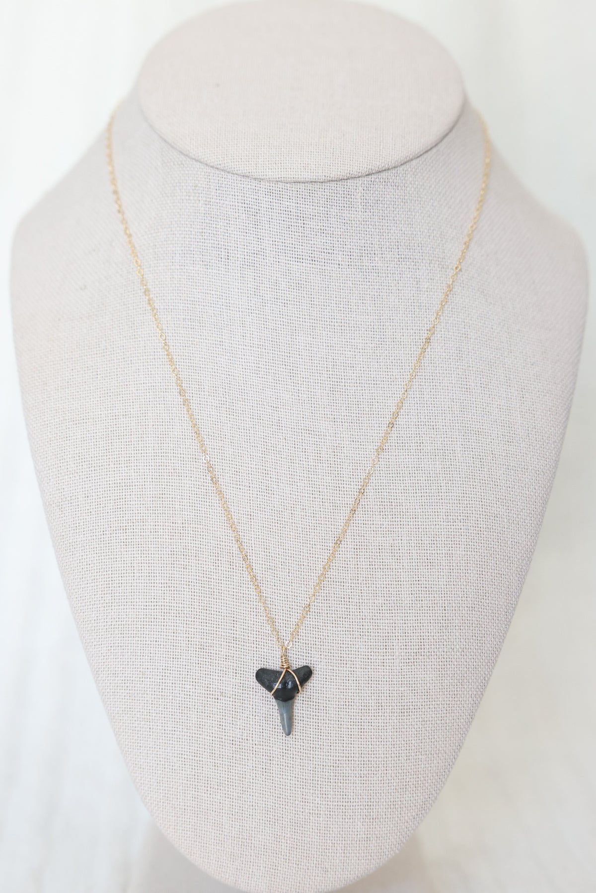 Gold filled Shark tooth necklace