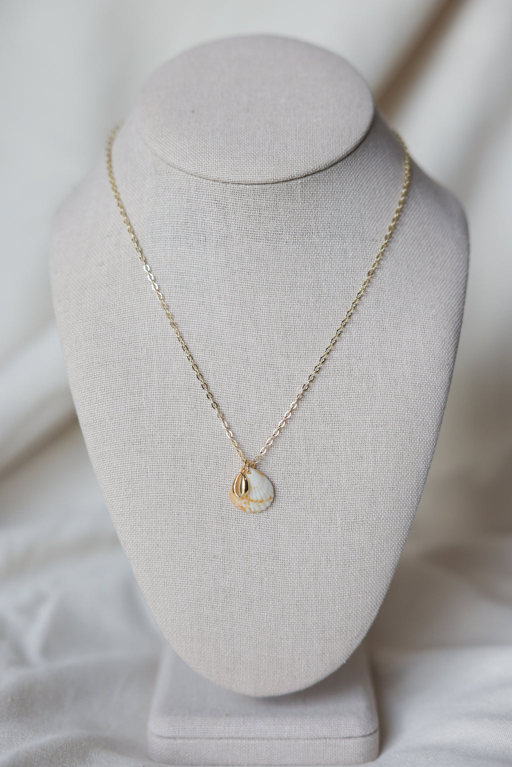 Seashell cowrie necklace