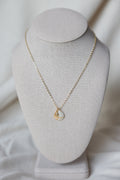 Seashell cowrie necklace