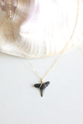 Gold filled Shark tooth necklace
