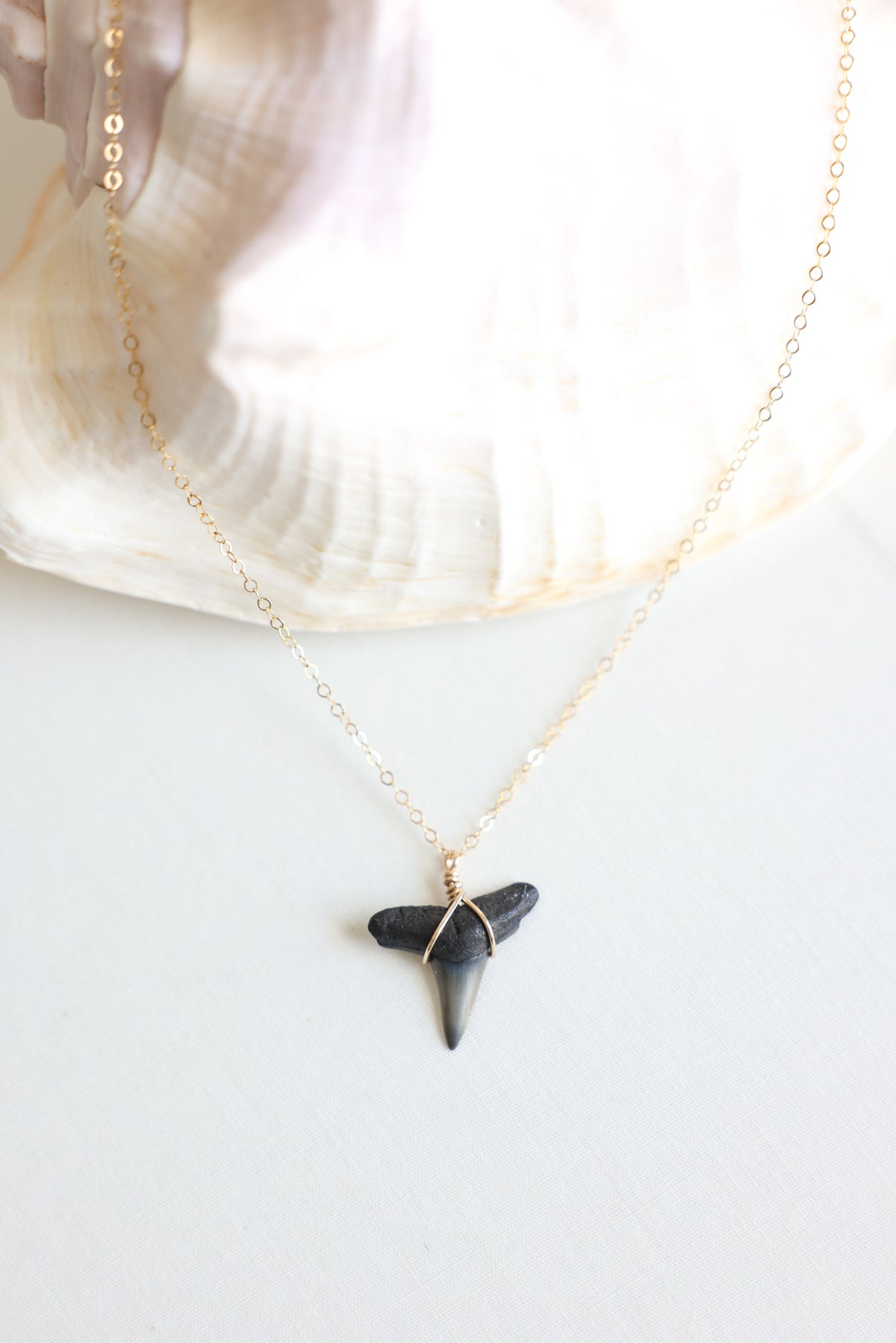 Gold filled Shark tooth necklace