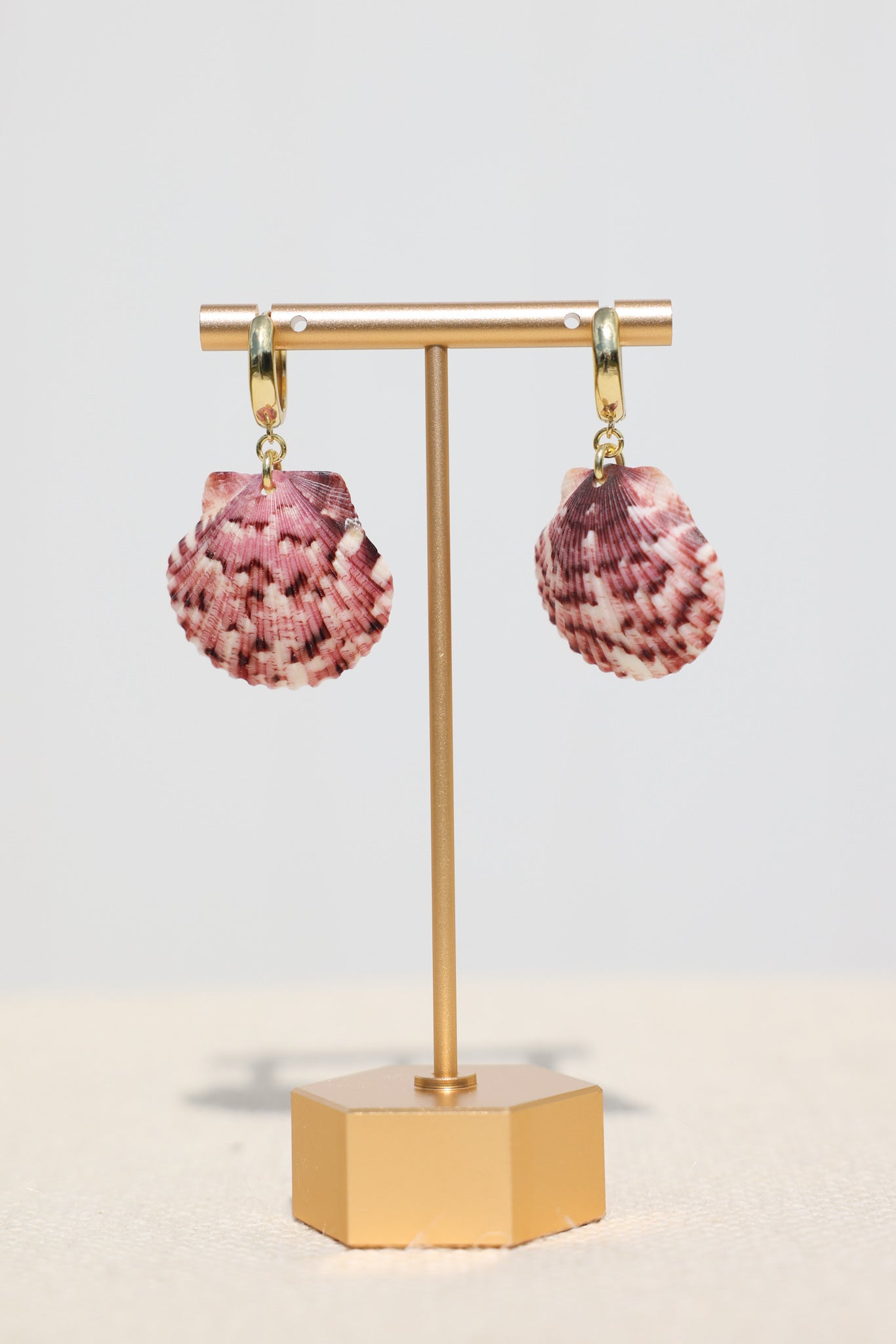 Calico scallop shell earrings