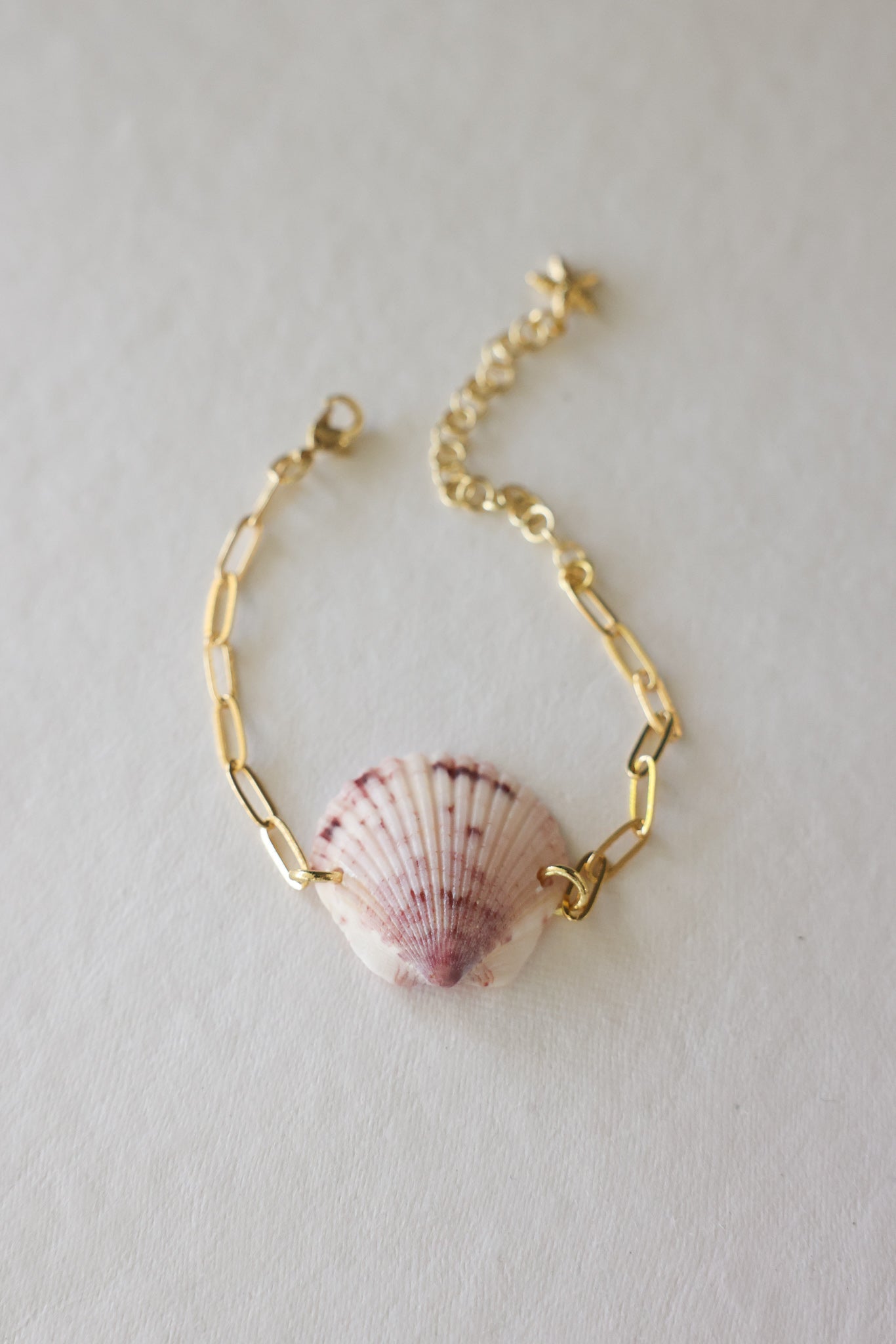 Scalloped shell bracelet