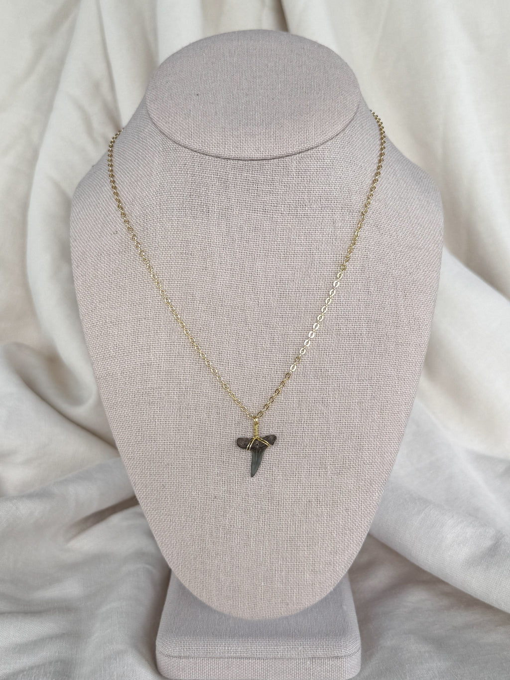 Shark tooth necklace