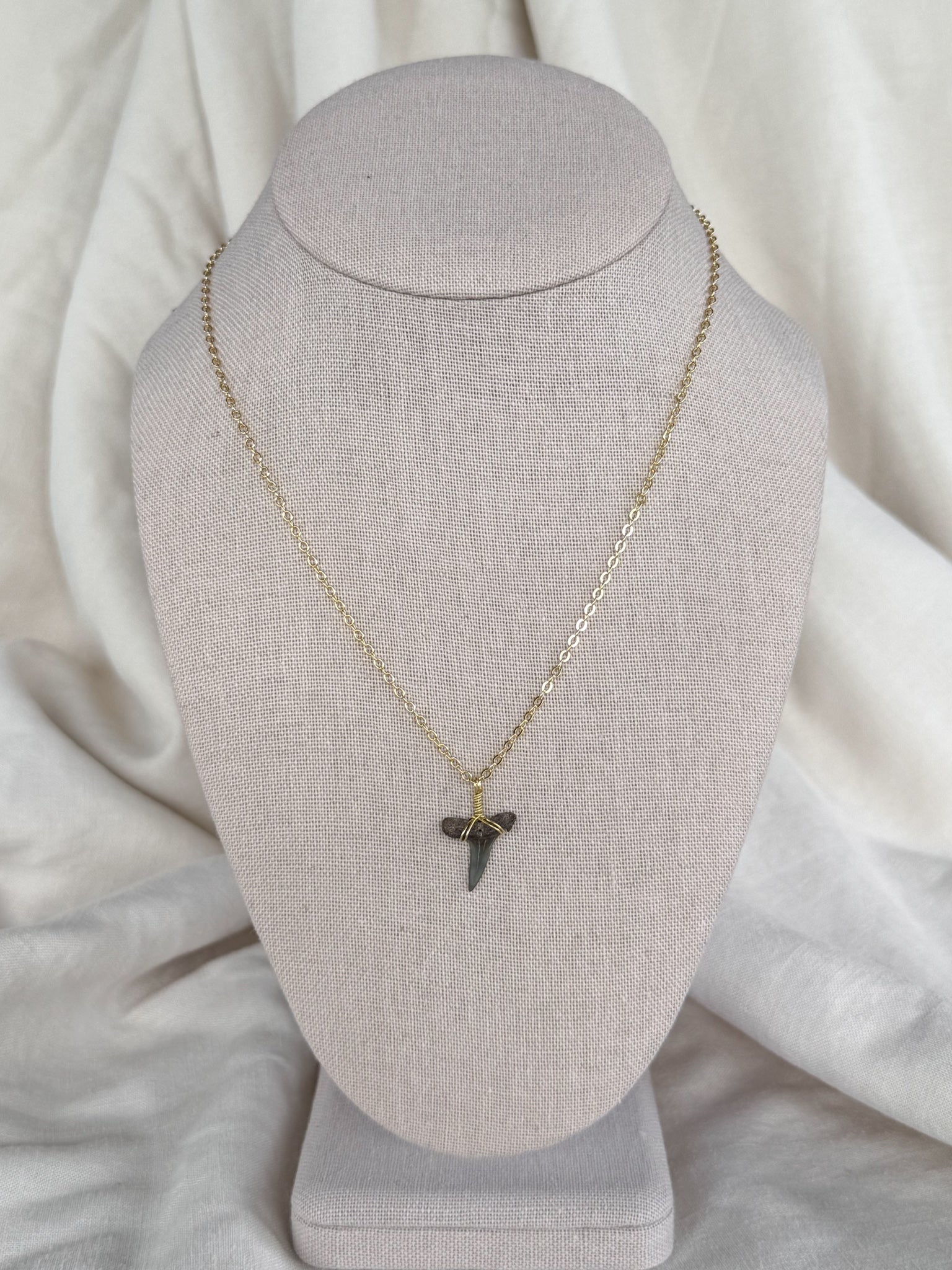 Shark tooth necklace