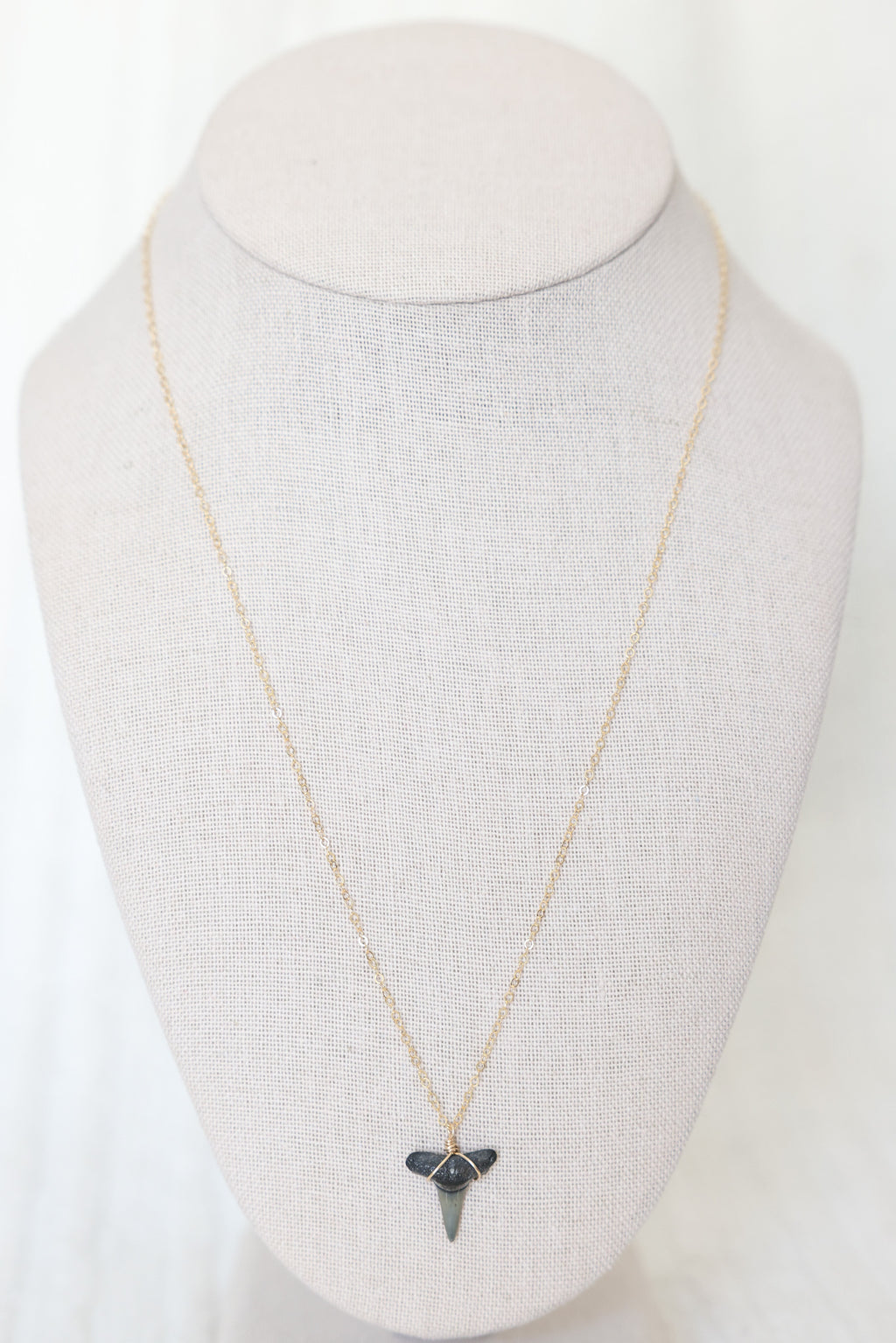 Gold filled Shark tooth necklace