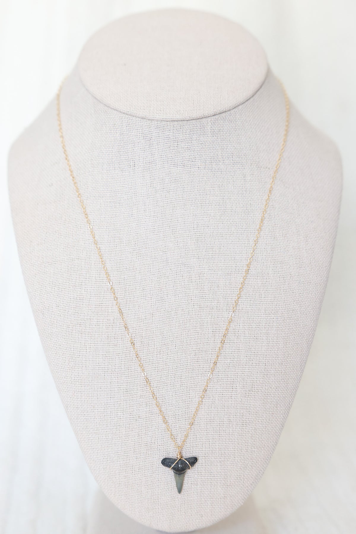 Gold filled Shark tooth necklace