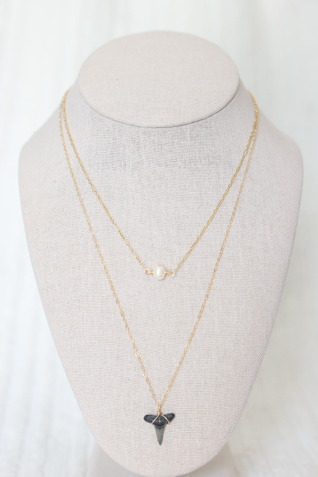 Gold filled Shark tooth necklace