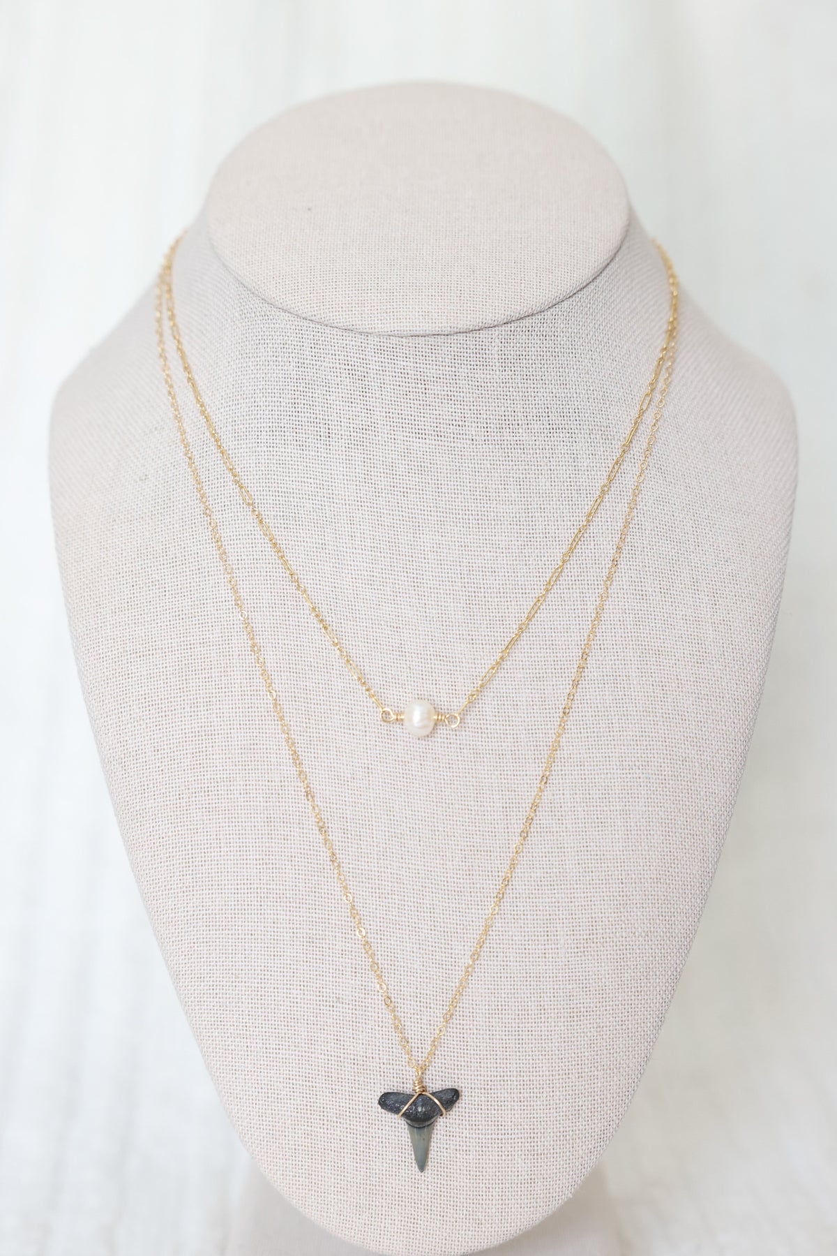 Gold filled Shark tooth necklace
