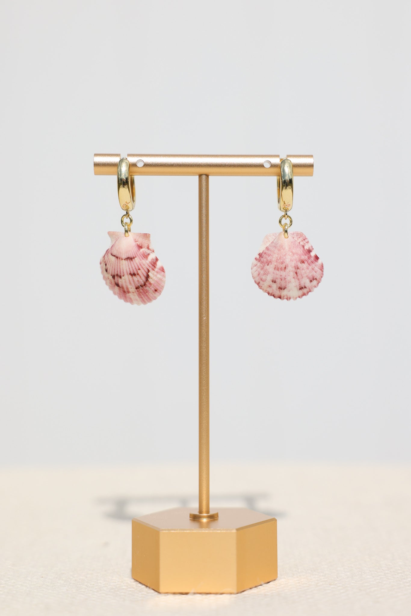 Calico scallop shell earrings