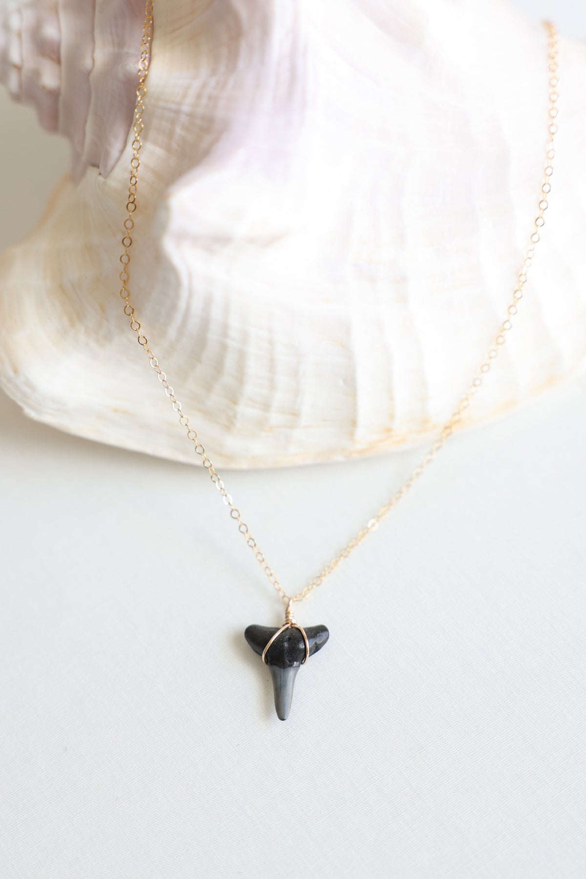 Gold filled Shark tooth necklace