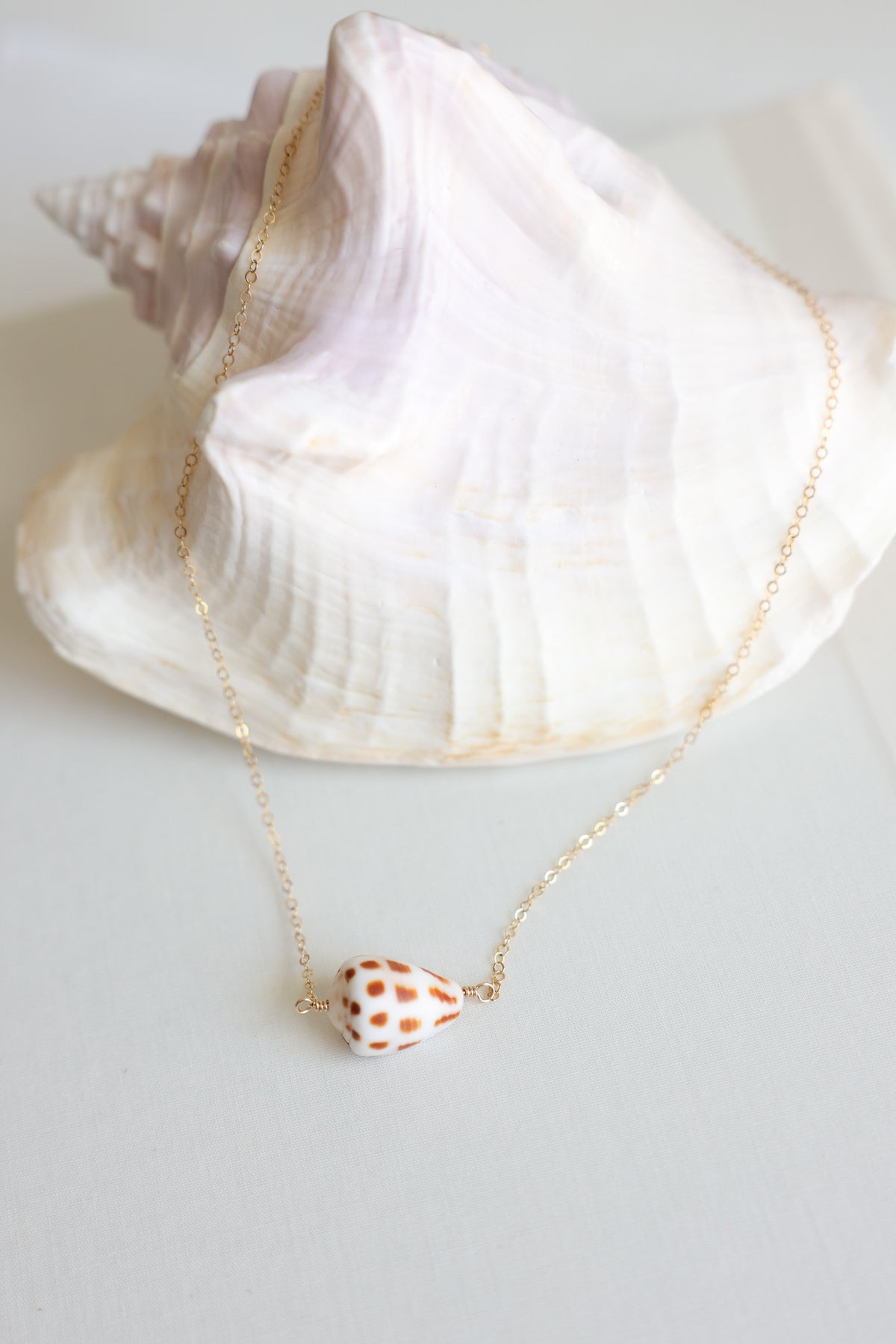 Cone shell necklace